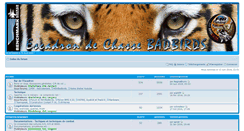 Desktop Screenshot of forum.badbirds.net